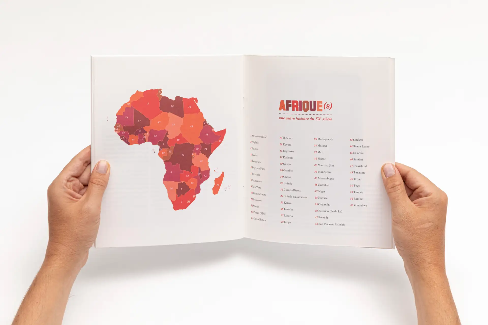 Image presenting the project Afrique(s)